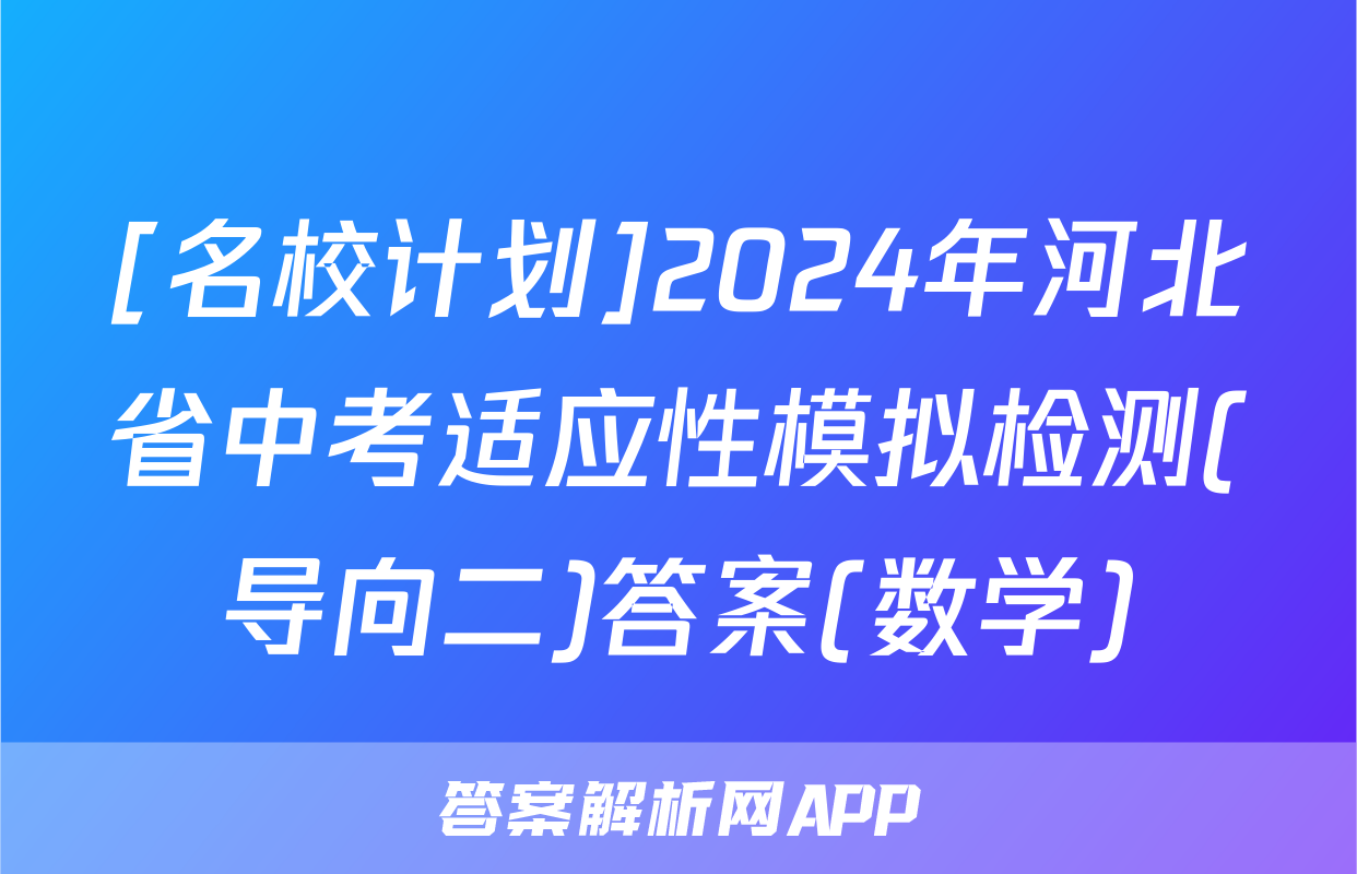 [名校计划]2024年河北省中考适应性模拟检测(导向二)答案(数学)