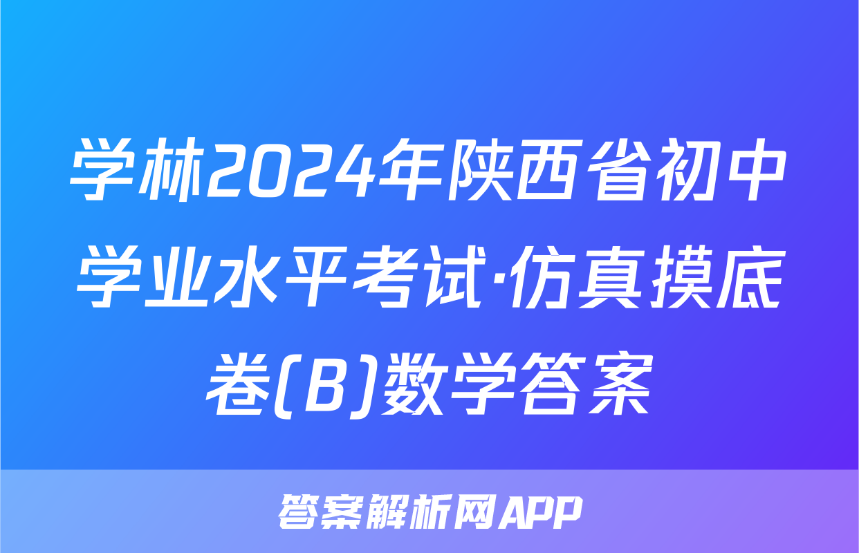 学林2024年陕西省初中学业水平考试·仿真摸底卷(B)数学答案
