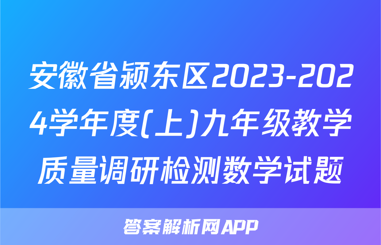 安徽省颍东区2023-2024学年度(上)九年级教学质量调研检测数学试题