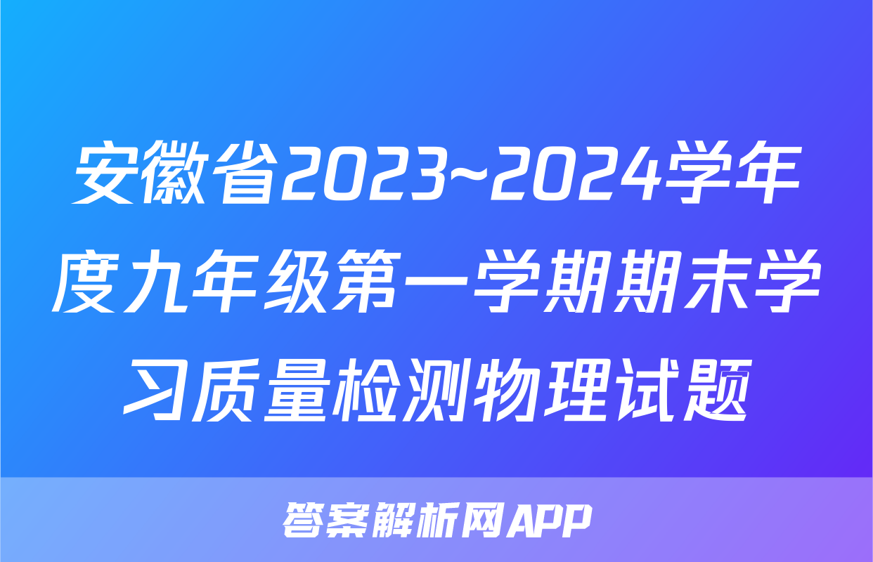 安徽省2023~2024学年度九年级第一学期期末学习质量检测物理试题