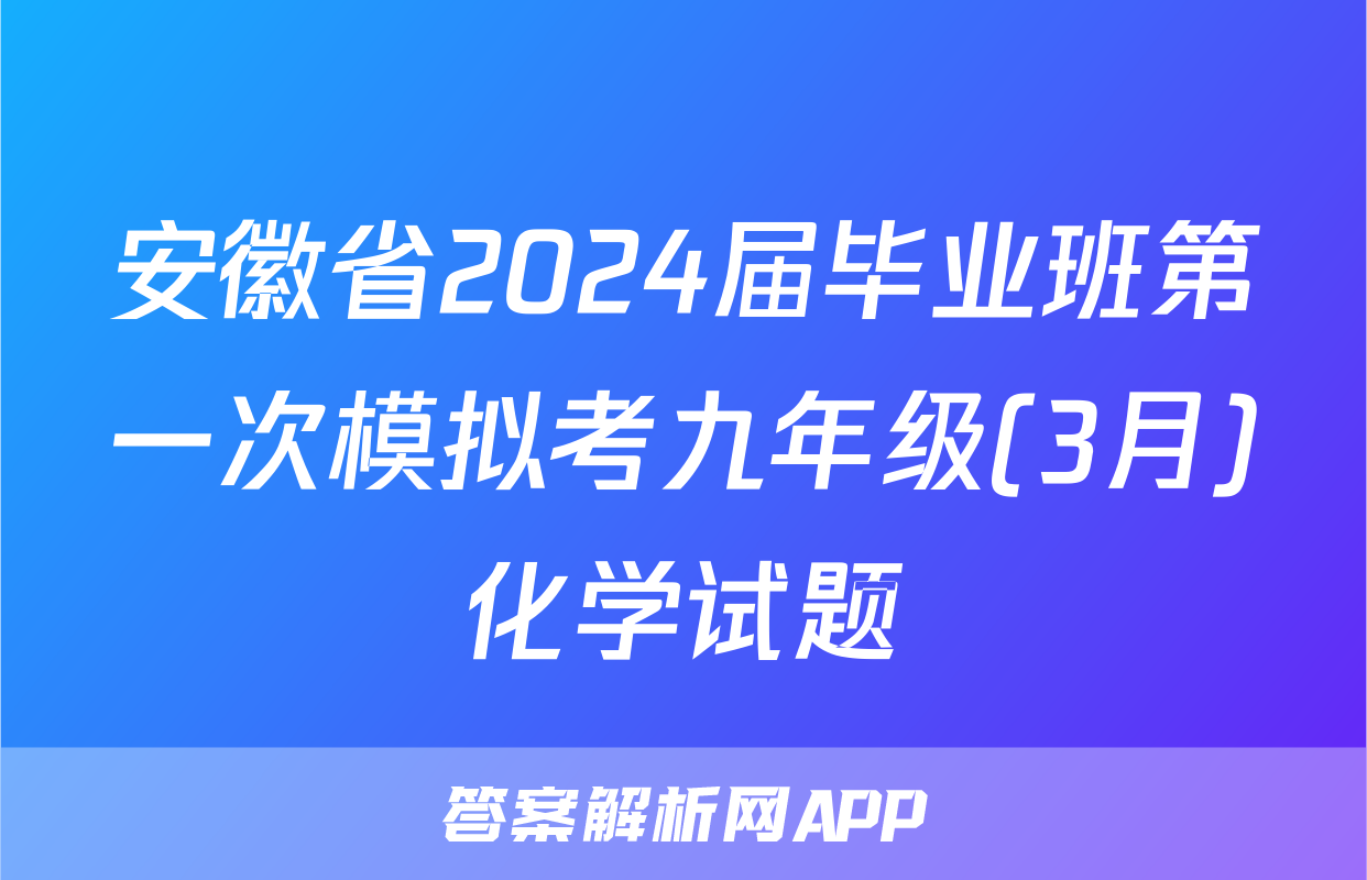 安徽省2024届毕业班第一次模拟考九年级(3月)化学试题