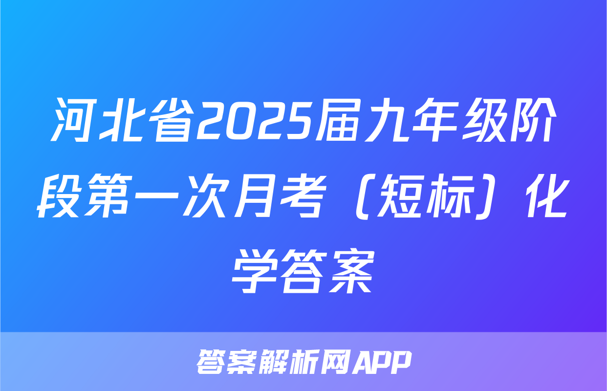 河北省2025届九年级阶段第一次月考（短标）化学答案