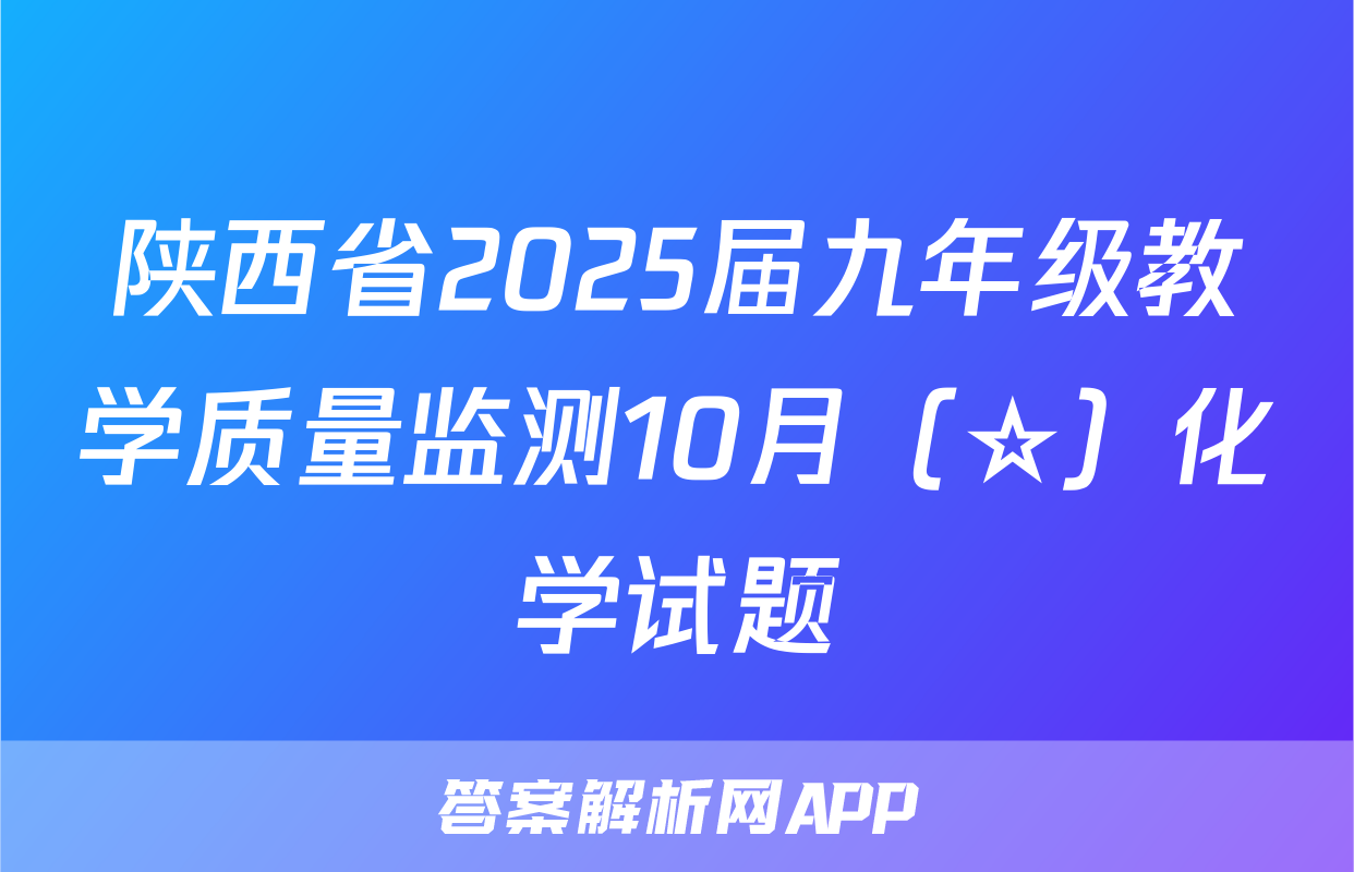 陕西省2025届九年级教学质量监测10月（☆）化学试题