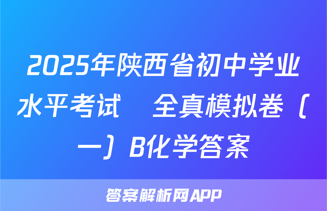 2025年陕西省初中学业水平考试•全真模拟卷（一）B化学答案