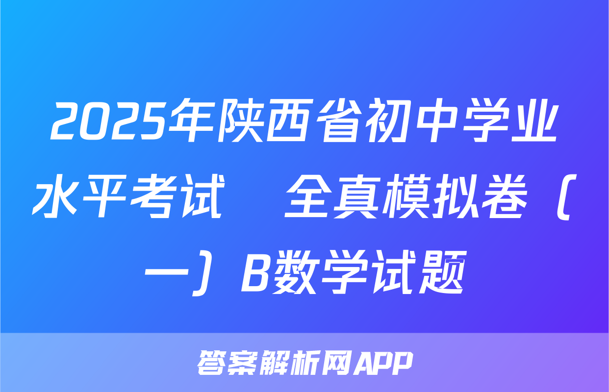 2025年陕西省初中学业水平考试•全真模拟卷（一）B数学试题